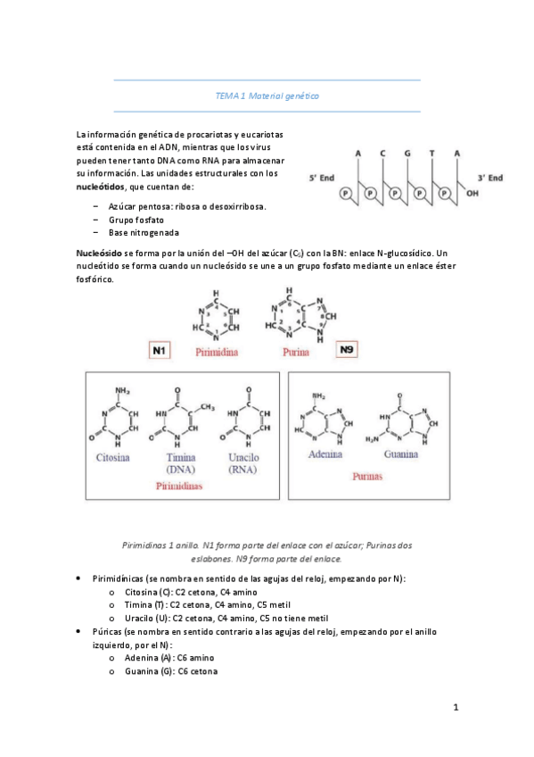 Miniatura del documento Tema-1.pdf