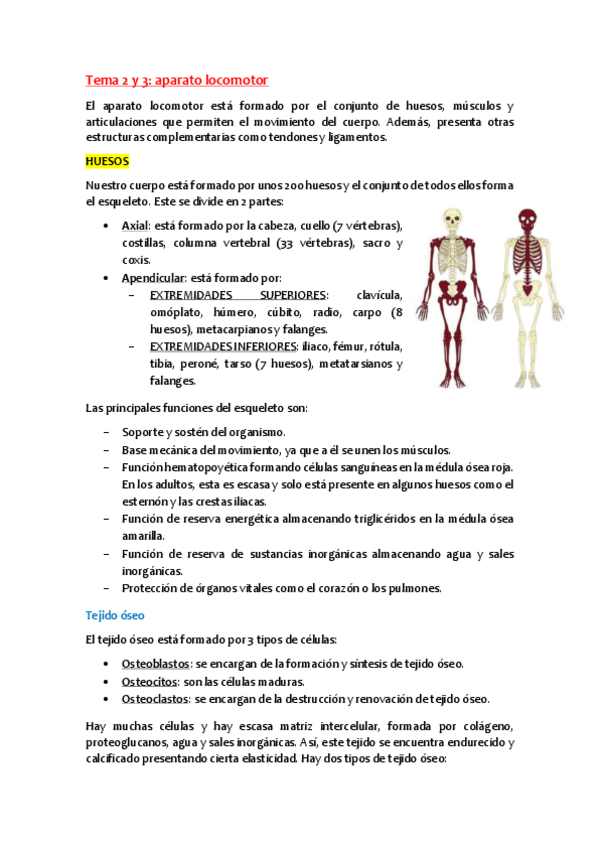 Miniatura del documento Anatomia-Tema-2-y-3.pdf