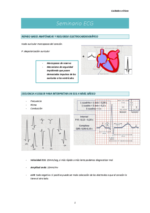 Miniatura del documento Seminario-ECG.pdf