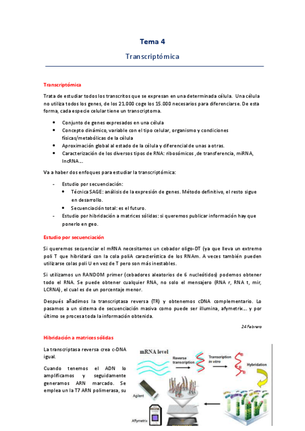Miniatura del documento Tema-4.pdf
