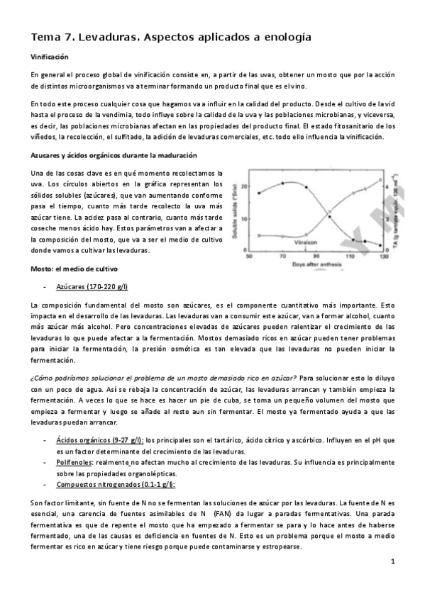 Miniatura del documento Tema-7-Definitivo-Blanca.pdf