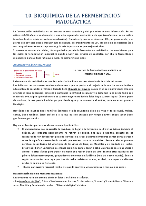 Miniatura del documento TEMA-11.pdf