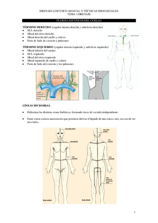 Miniatura del documento Tema-4-drenaje-copia.pdf