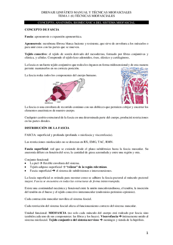 Miniatura del documento TEMA-1-mio-copia.pdf
