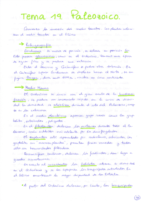 Miniatura del documento Tema 19 Paleozoico.pdf