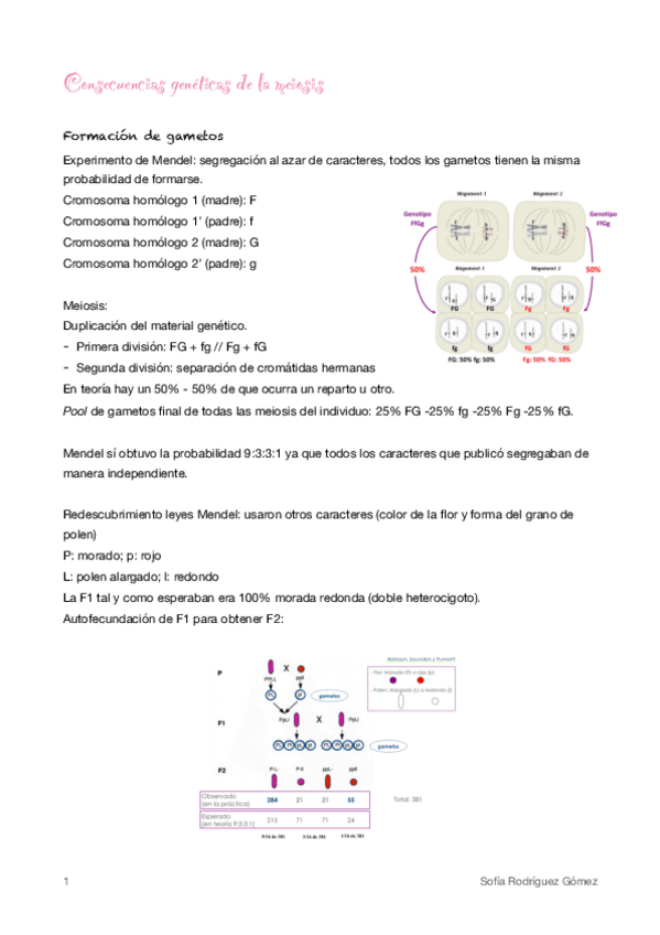 Miniatura del documento 8.pdf