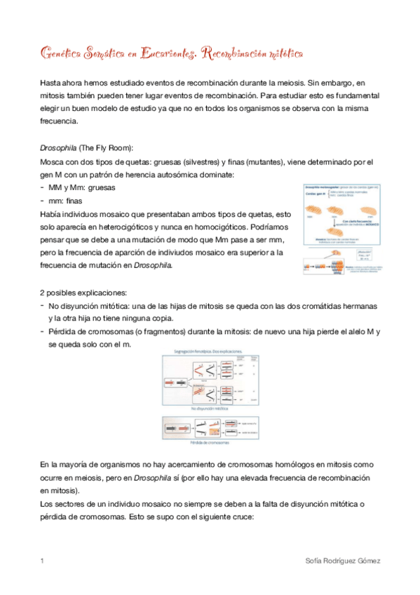 Miniatura del documento 10.pdf