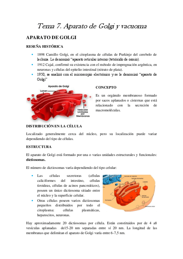 Miniatura del documento TEMA 7.pdf