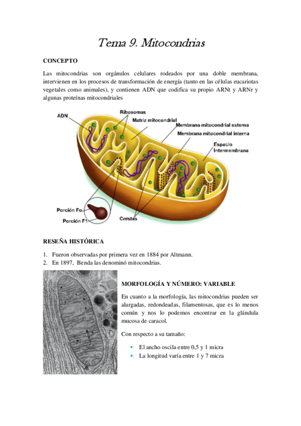 Miniatura del documento Tema 9.pdf