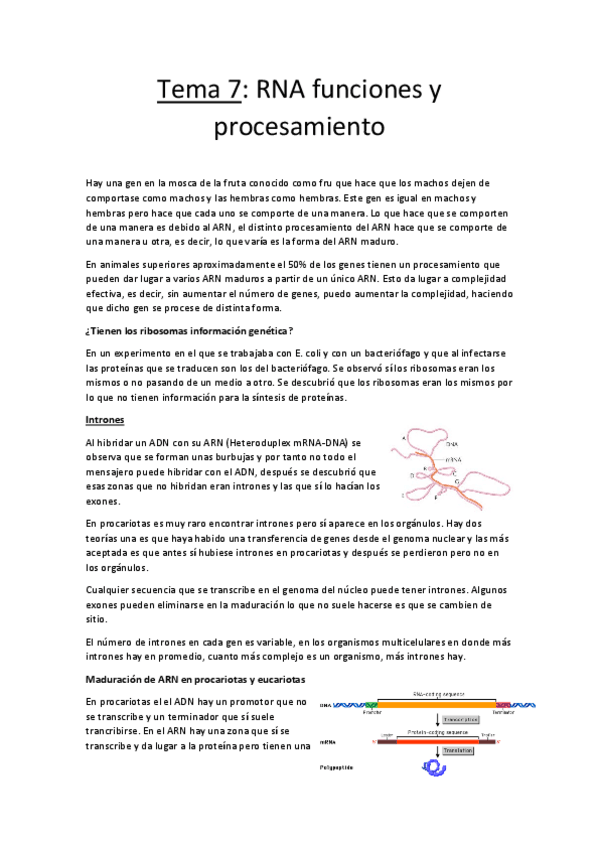 Miniatura del documento Tema 7.pdf