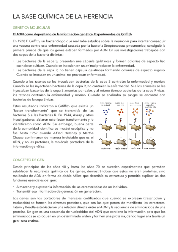 Miniatura del documento La-base-quimica-de-la-herencia.pdf
