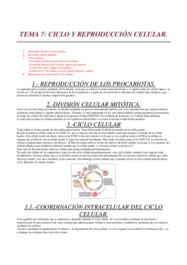 Miniatura del documento TEMA-7.pdf
