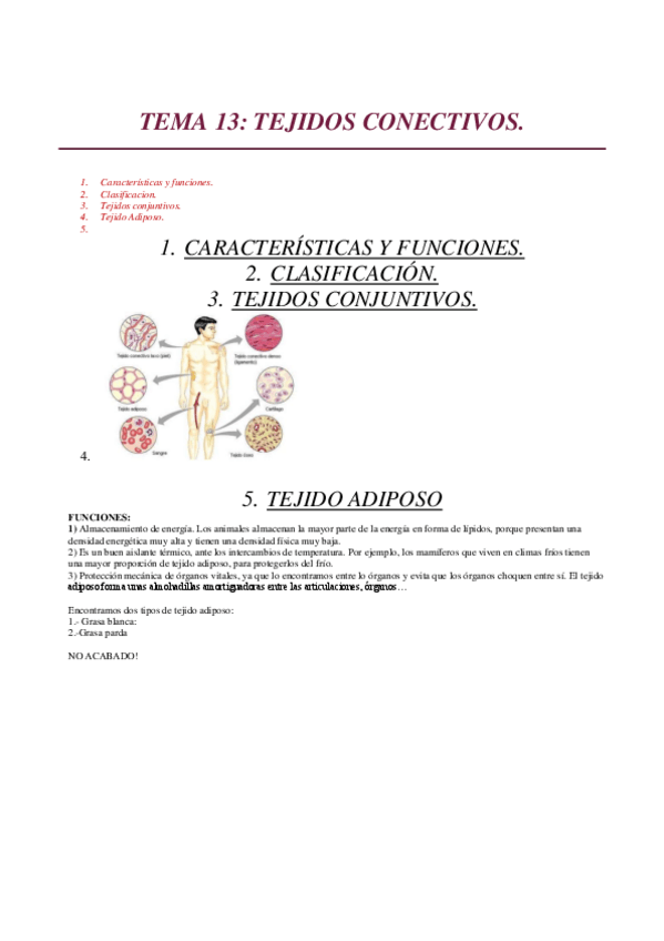 Miniatura del documento TEMA-13.pdf