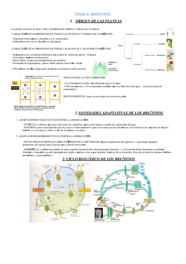 Miniatura del documento TEMA-6.pdf