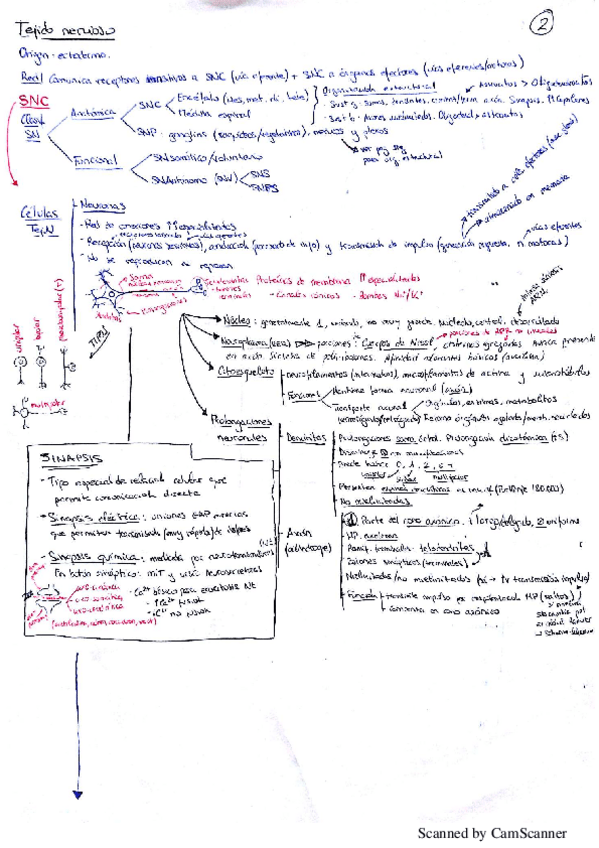 Miniatura del documento NuevoDocumento 2017-05-04.pdf