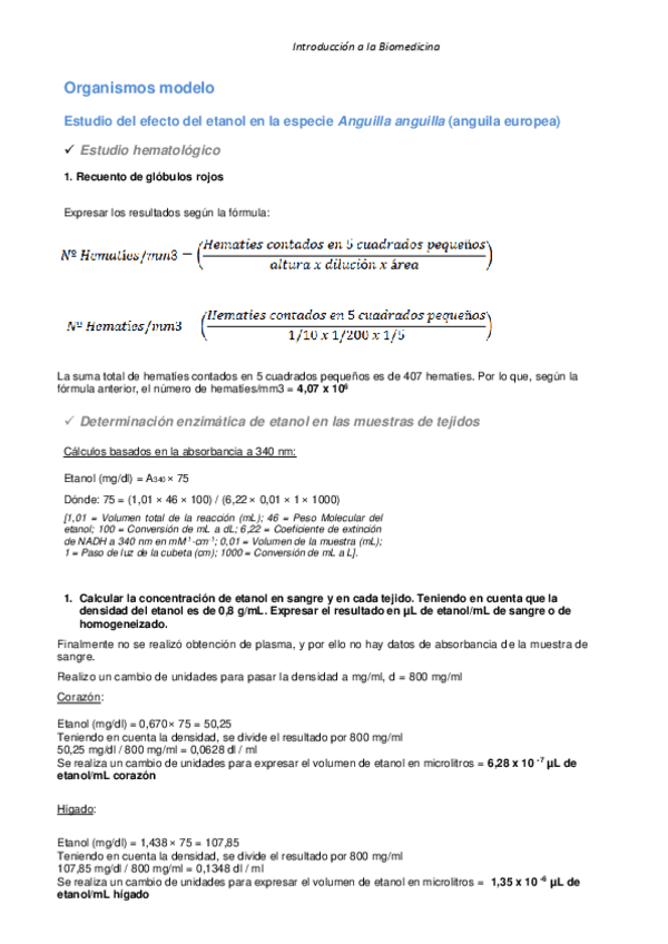 Miniatura del documento TareaS-RESUELTAS-Practicas-IB.pdf