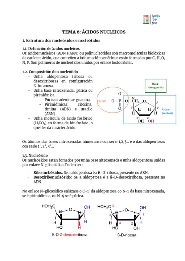 Miniatura del documento TEMA-6-ACIDOS-NUCLEICOS.pdf