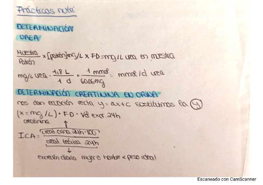 Miniatura del documento FORMULAS-PRACTICAS-NUTRI.pdf