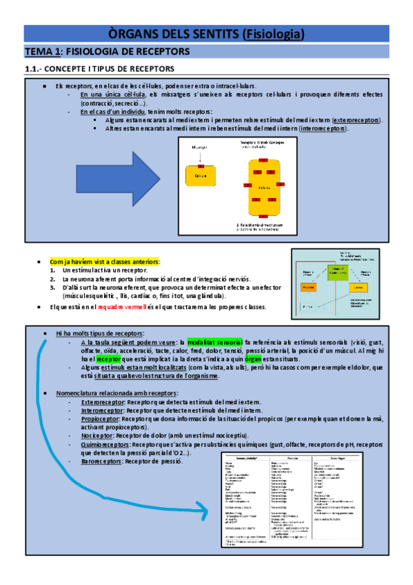 Miniatura del documento Fisio òrgans dels sentits.pdf