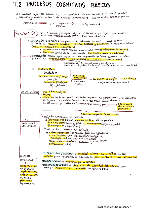 Miniatura del documento PROCESOS-COGNITIVOS-BASICOS.pdf