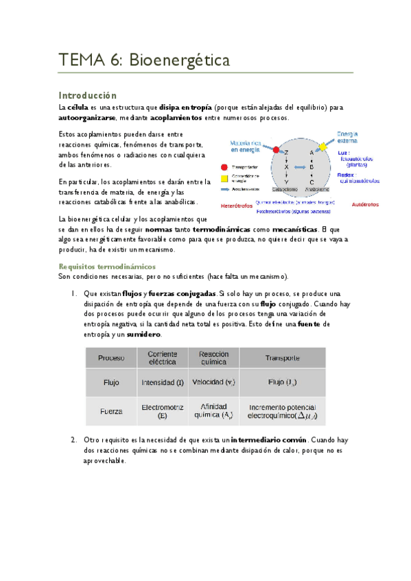 Miniatura del documento TEMA-6.pdf