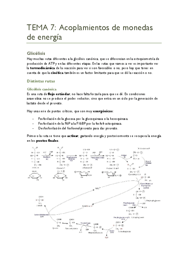 Miniatura del documento TEMA-7.pdf