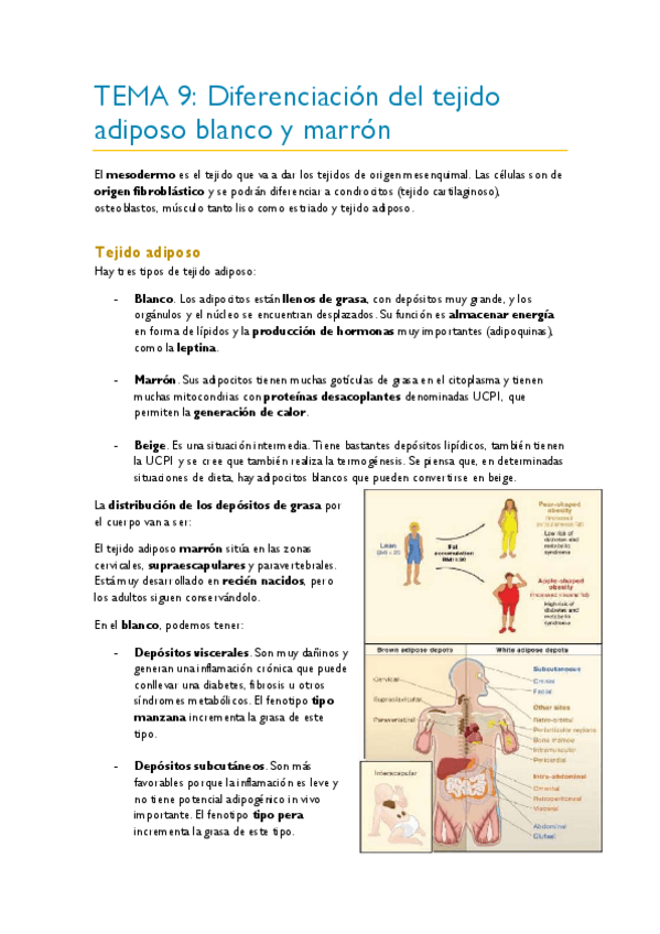 Miniatura del documento TEMA-9.pdf