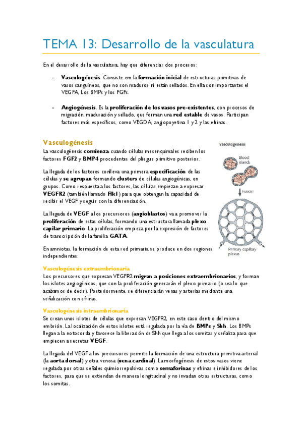Miniatura del documento TEMA-13.pdf