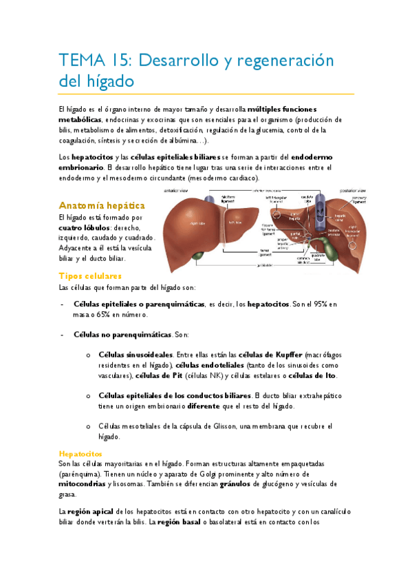 Miniatura del documento TEMA-15.pdf