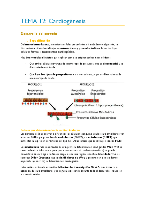 Miniatura del documento TEMA-12.pdf