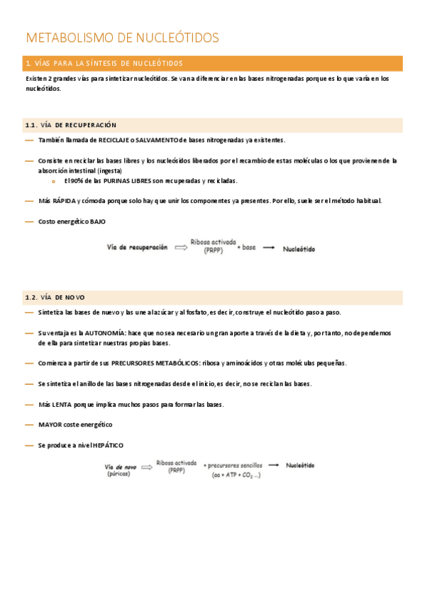 Miniatura del documento metabolismo-de-nucleotidos.pdf