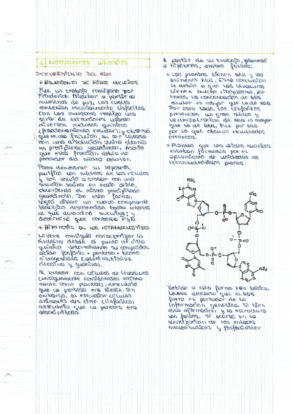 Miniatura del documento Tema-1-DNA-portador-de-la-informcion-genetica.pdf