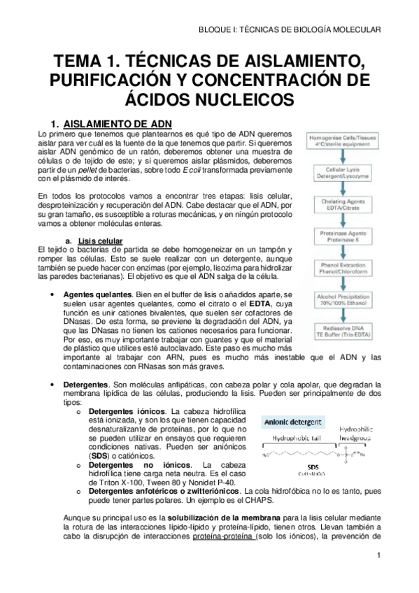 Miniatura del documento 1-AISLAMIENTO-DE-AC-NUCLEICOS.pdf