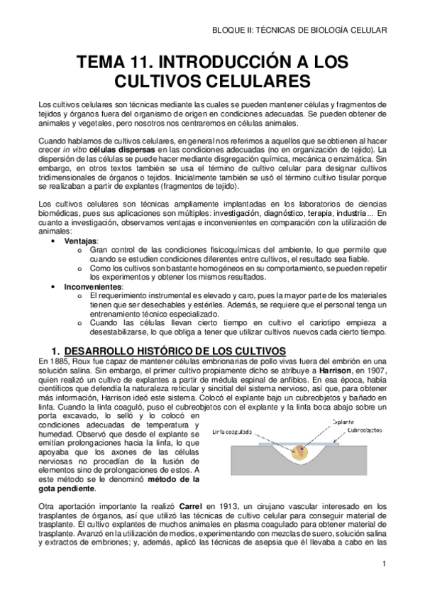 Miniatura del documento 11-INTRODUCCION-A-LOS-CULTIVOS-CELULARES.pdf