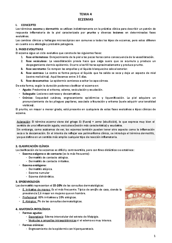 Miniatura del documento Tema-4.pdf