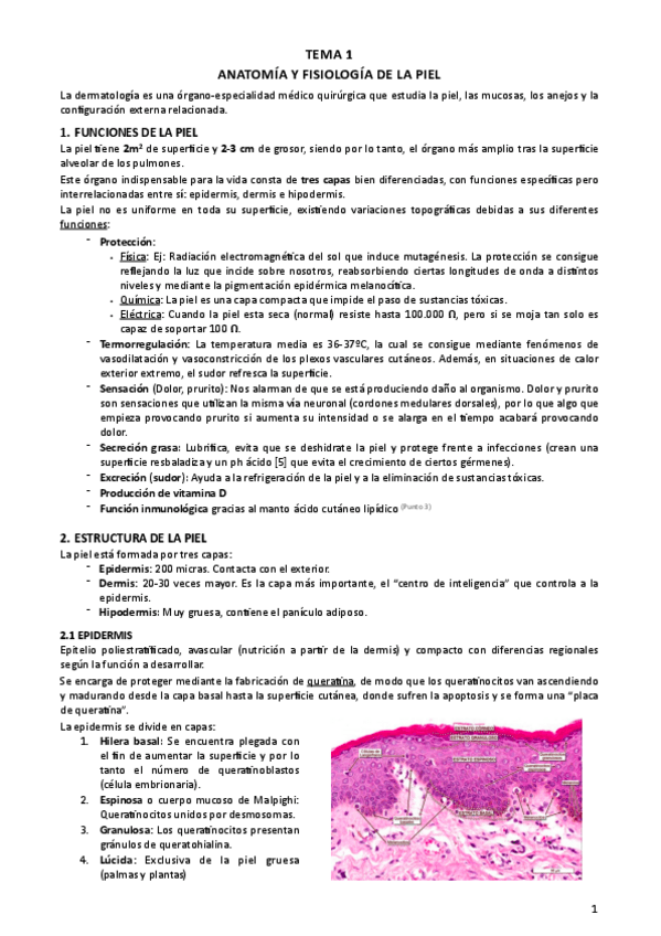 Miniatura del documento Tema-1.pdf