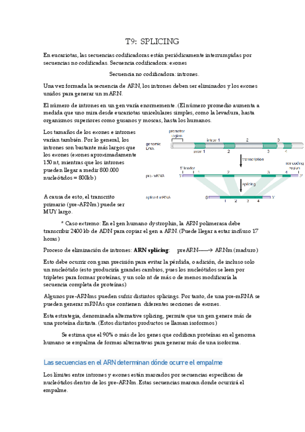 Miniatura del documento T9-SPLICING.pdf