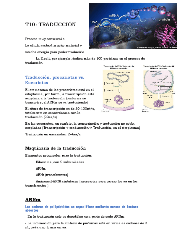 Miniatura del documento T10TRADUCCION.pdf