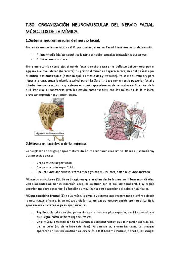 Miniatura del documento Temario-Anatomia-5.pdf