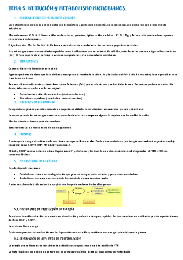 Miniatura del documento Tema-5.pdf