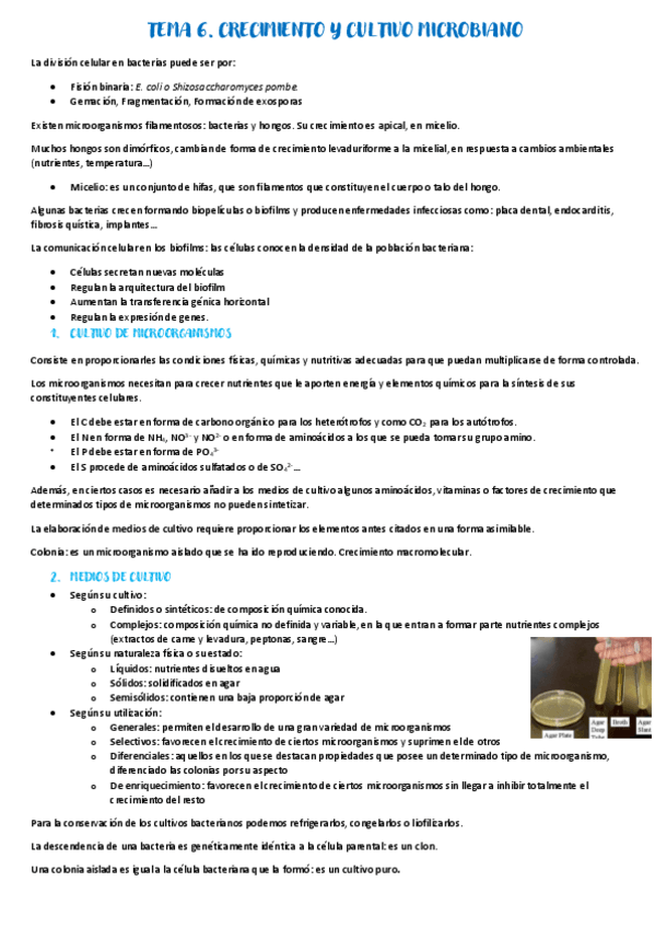 Miniatura del documento Tema-6.pdf