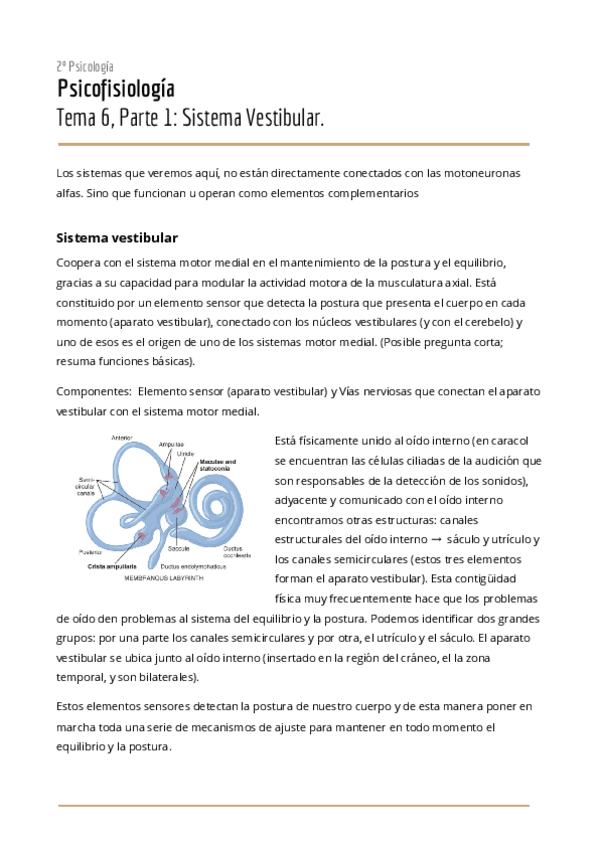 Miniatura del documento Tema-6-Parte-1-Psicofisiologia.pdf