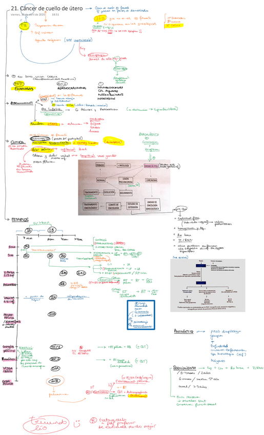 Miniatura del documento 21.pdf