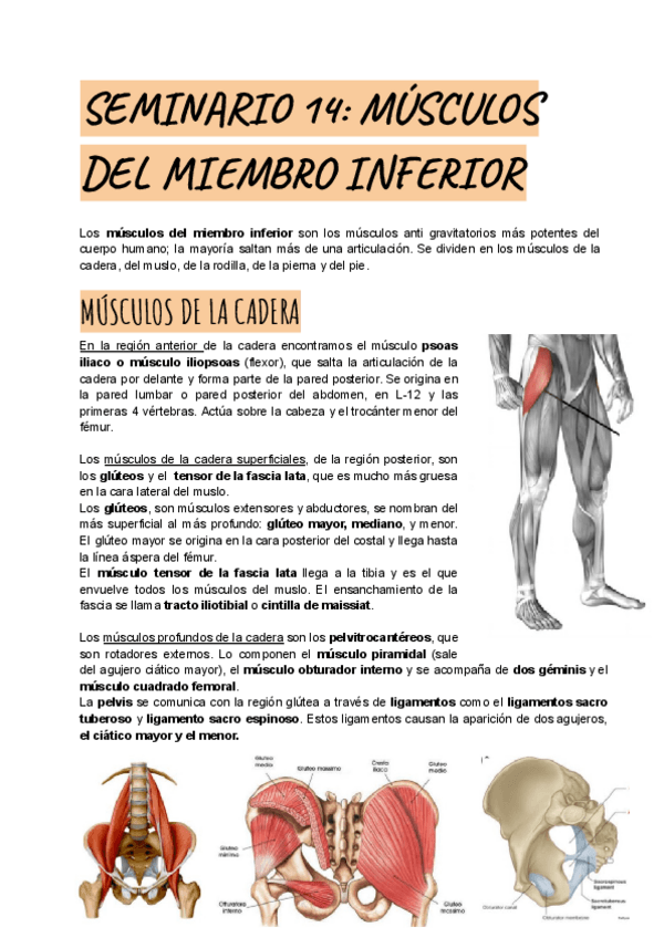 Miniatura del documento SEMINARIO-14.pdf