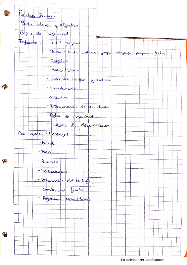 Miniatura del documento P1.pdf