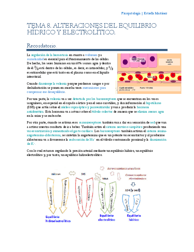 Miniatura del documento Tema-8-Fisiopatologia.pdf