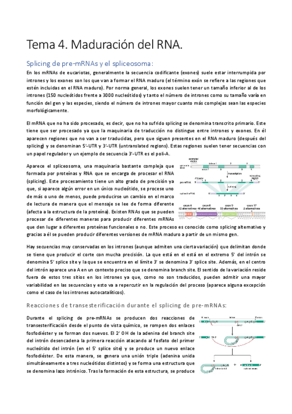 Miniatura del documento Tema-4.pdf