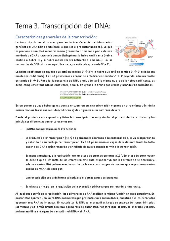 Miniatura del documento Tema-3.pdf