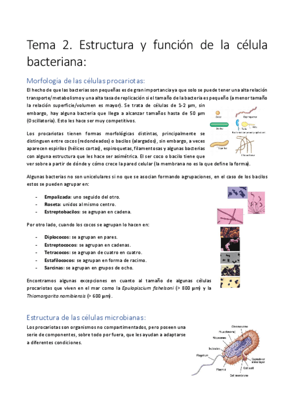 Miniatura del documento Tema-2.pdf