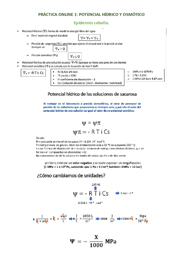 Miniatura del documento PRACTICAS-FV.pdf